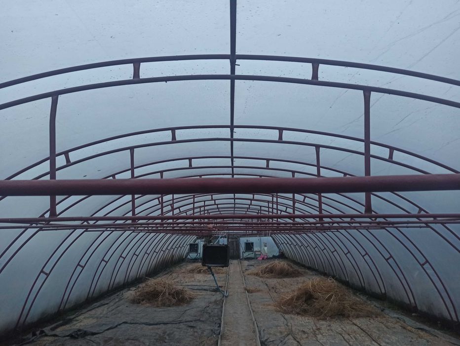 Tunel foliowy 7*3*30