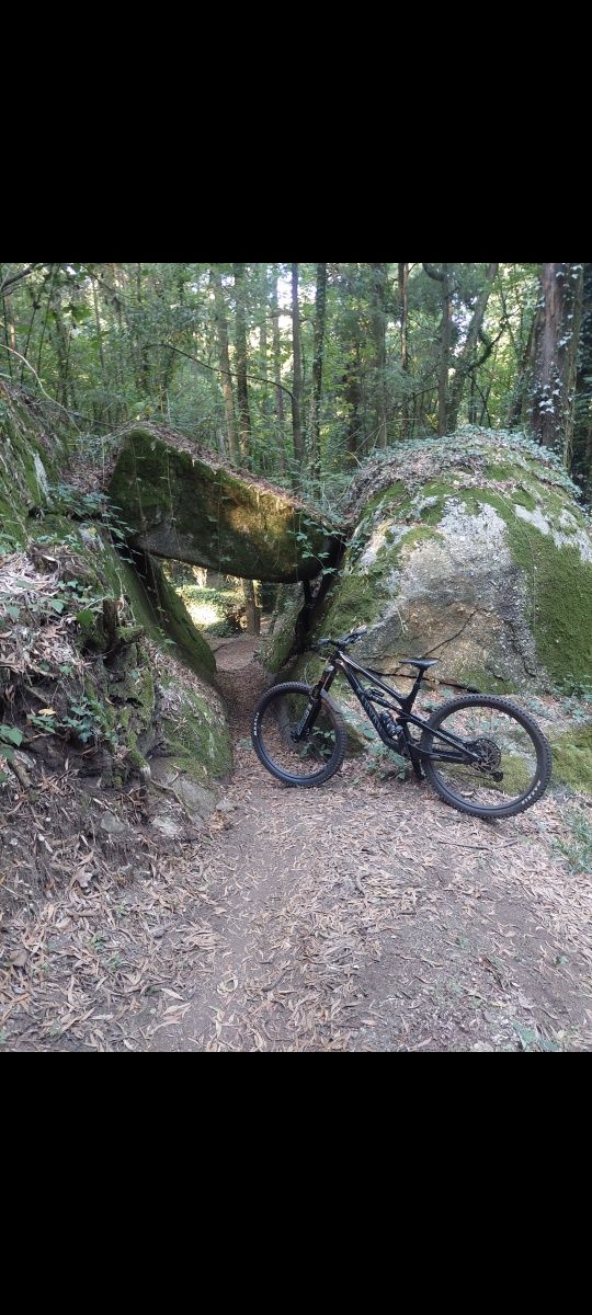 Canyon Torque CF7
