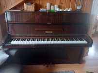 Pianino  legnica