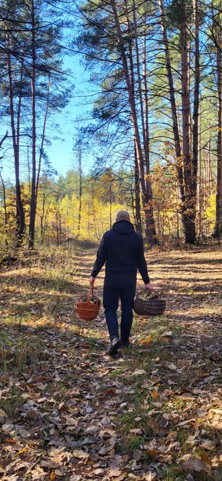 Мариновані гриби