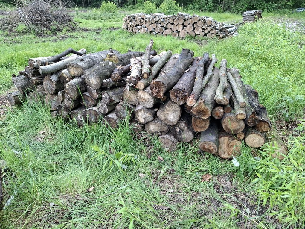 Drewno opałowe sprzedam