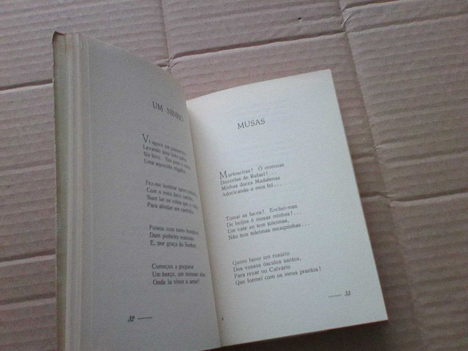 Horas de repouso : poesias