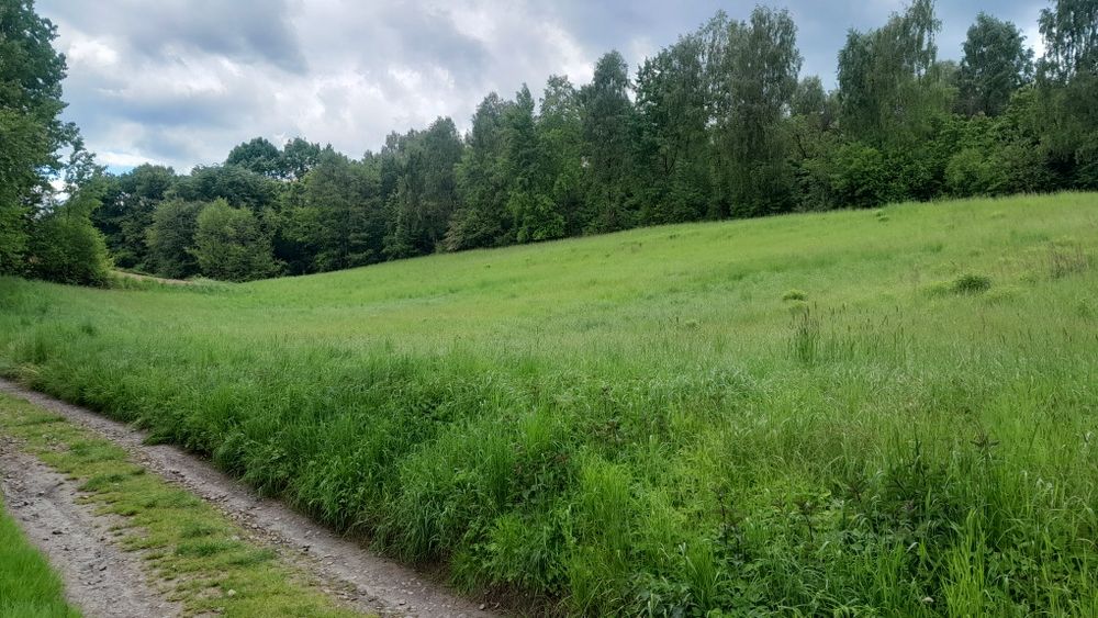 Działka rolna Czułów 70ary