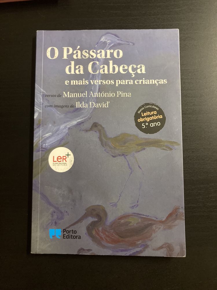 Livros a viuva e o papagaio e o passaro da cabeça