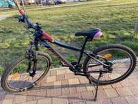 Rower Kross Lea 2.0