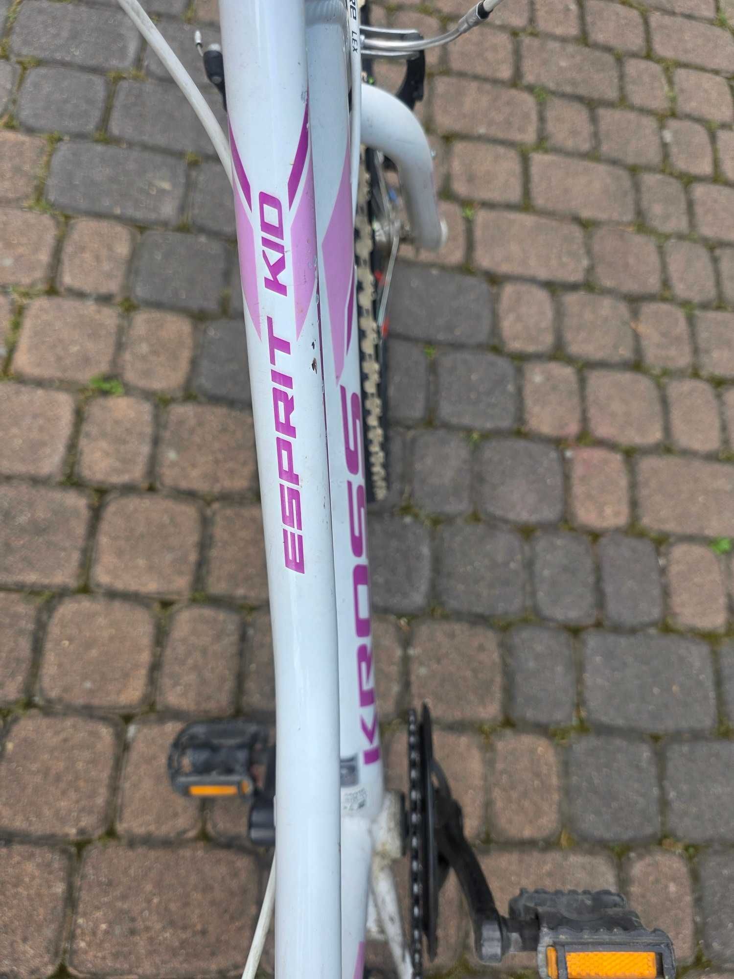 Kross Esprit Kid koła 20'' rama 11