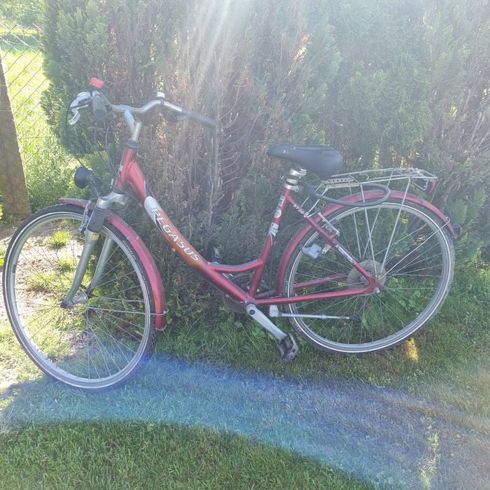 Rower damski pegasus