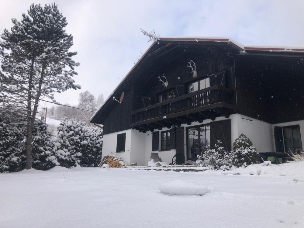 Pieniny Czorsztyn dom alpejski z sauną i kominkiem do wynajęcia