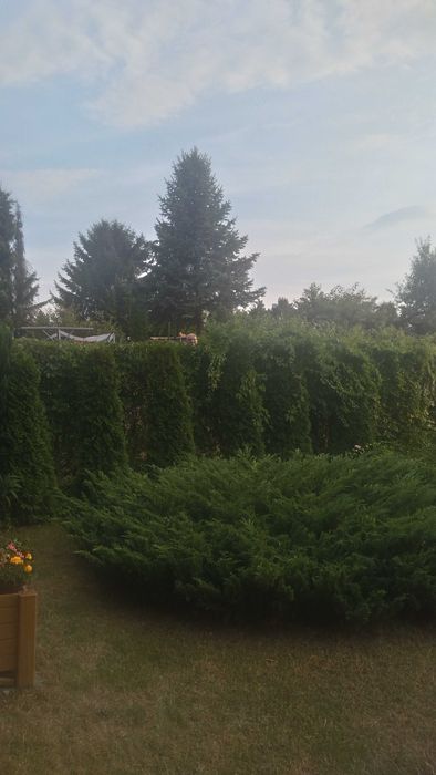 Sprzedam działkę "RODO Ustronie" Świętochłowice