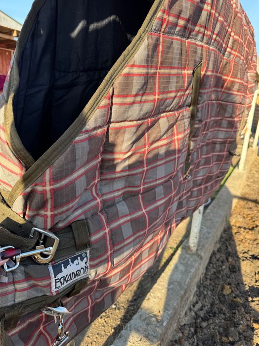 Derka Eskadron w kratę – rozmiar M (135 cm)