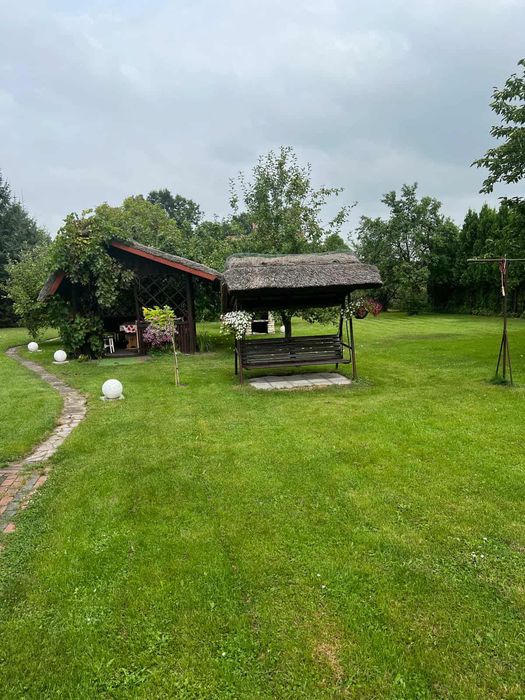 Dom dąbrowa zielona