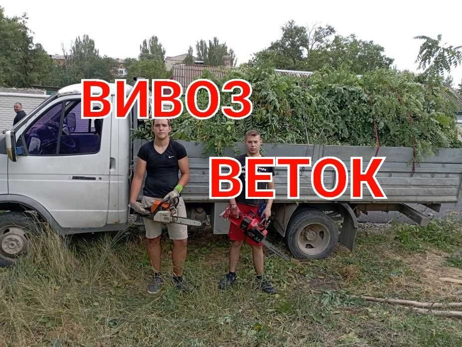 Вивоз веток Борисполь Гора Процев Чубинское Петропавливське Кийлов