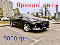 Оренда Авто / Аренда авто Киев Sonata NewRise 2018