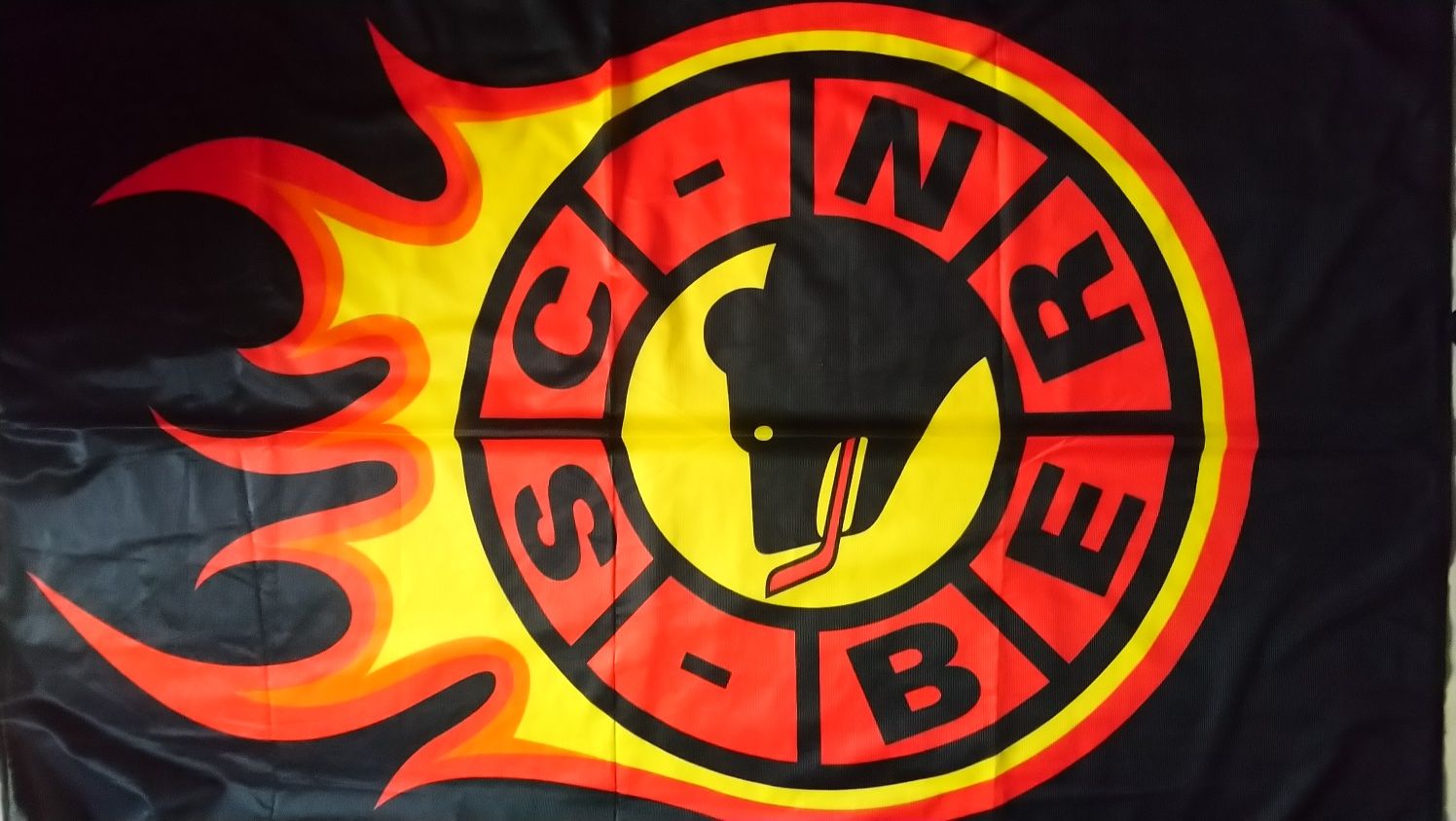 Плакат SC Bern ідеальний