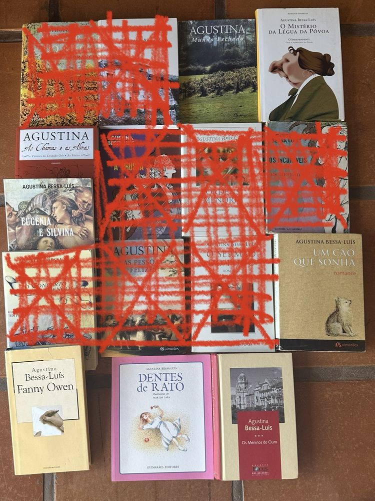 Lote de livros de Agustina Bessa-Luís