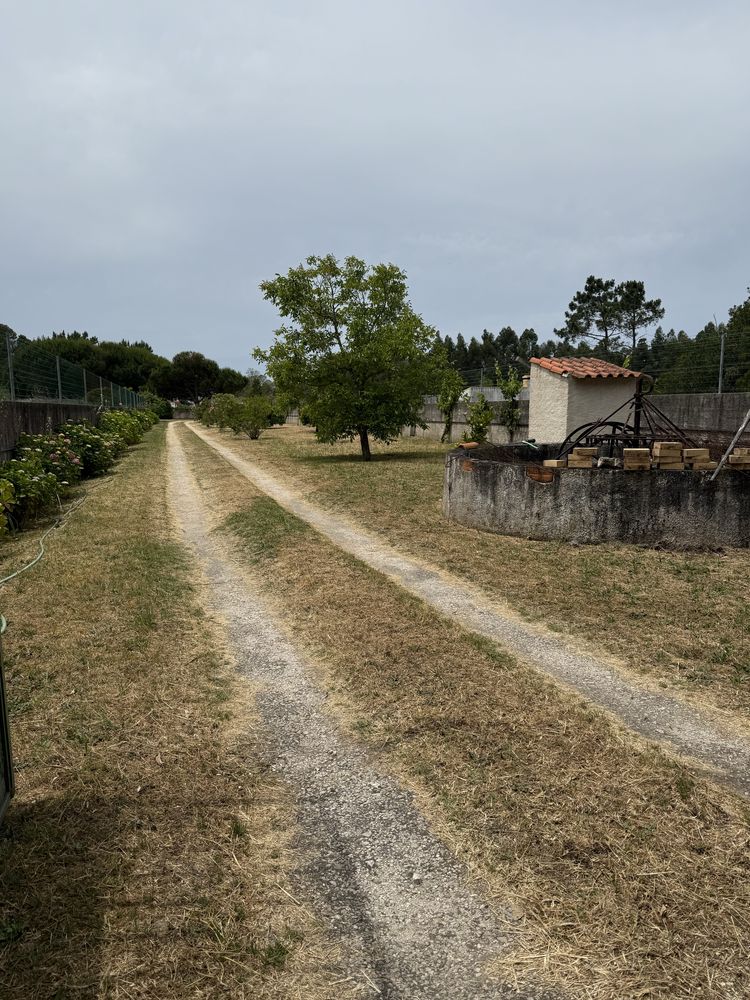 Quinta no Centro de Mira com 10.000 m² – Oportunidade Única!