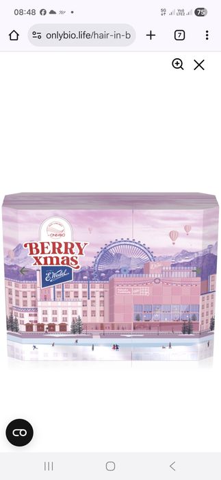 Kalendarz adwentowy BERRY XMAS 24 elementy