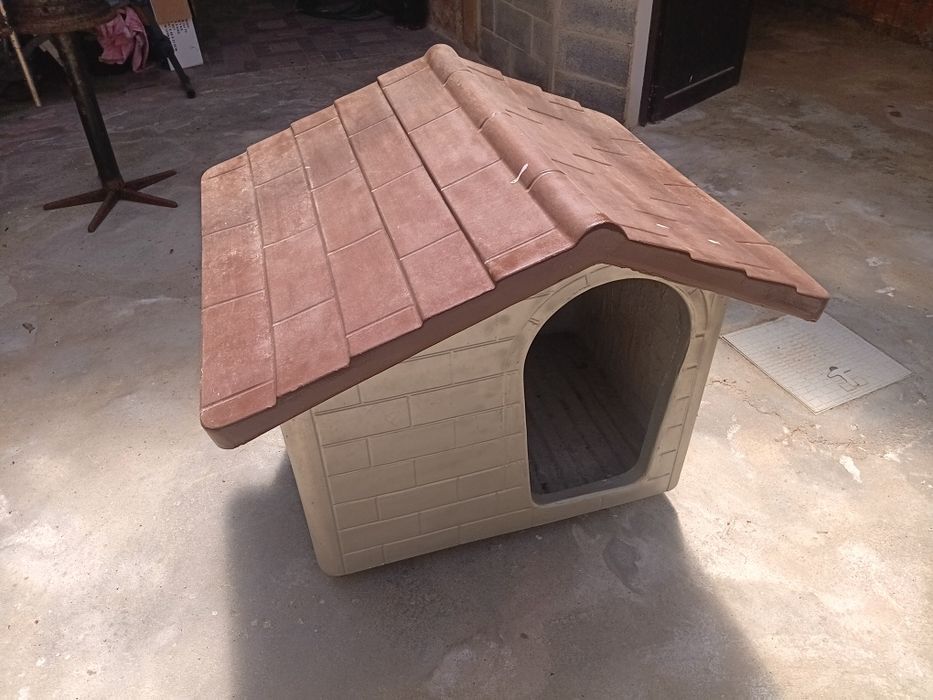 Casota Cão bom estado