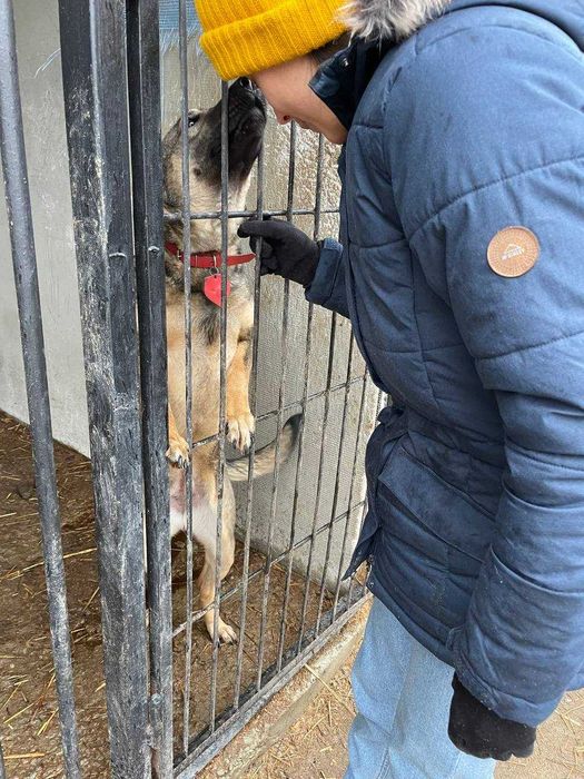 Муха дуже чекає на свою турботливу і люблячу сім'ю..