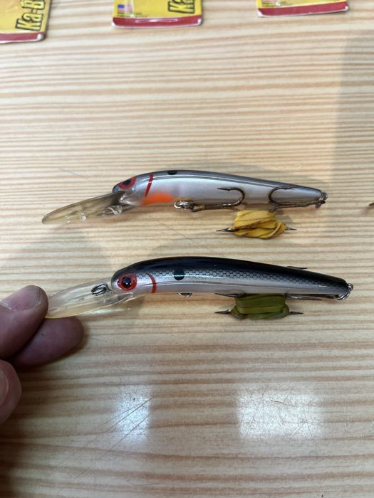 Amostras de corrico ou trolling Daves