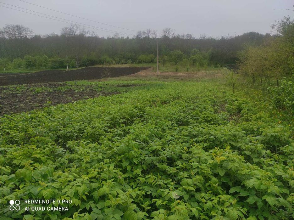 Продається житловий будинок.