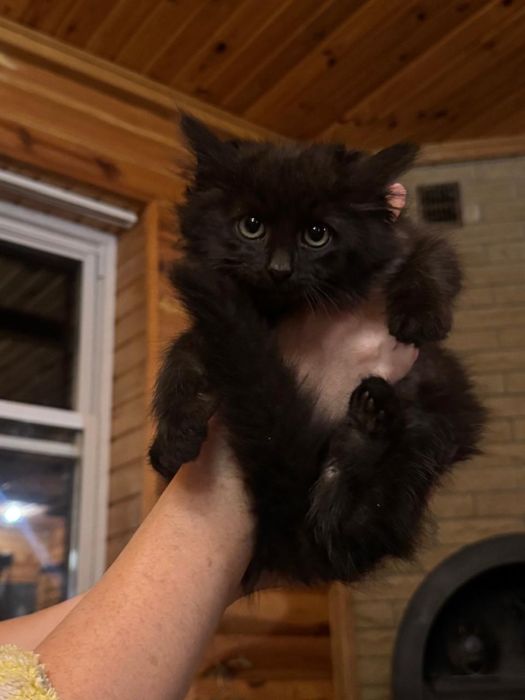 Хлопчик, 2 місяця