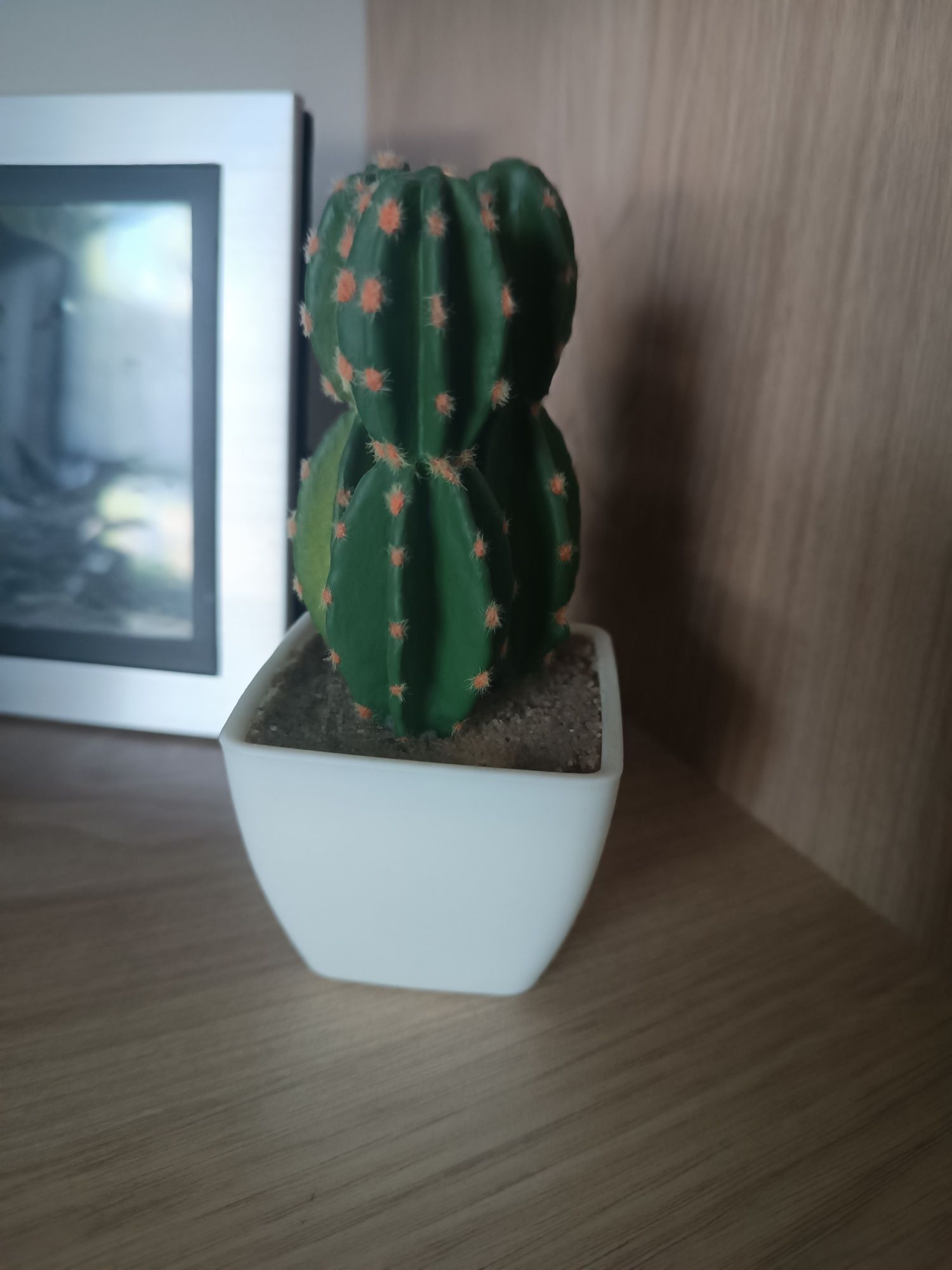 Sztuczna roślina sukulent kaktus