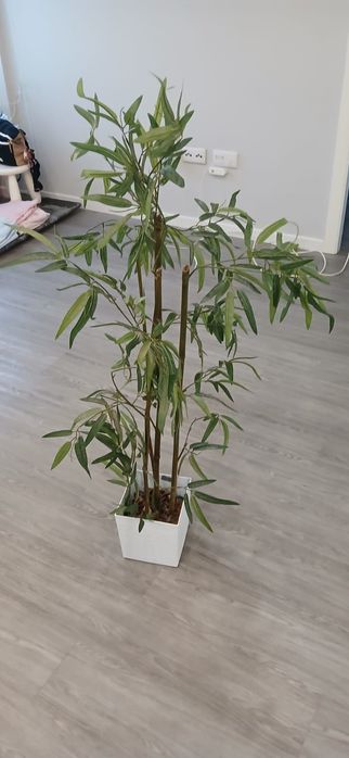 Vaso com canas de bambu artificiais