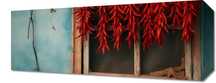 Obraz 50x20cm Szczypta Chilli