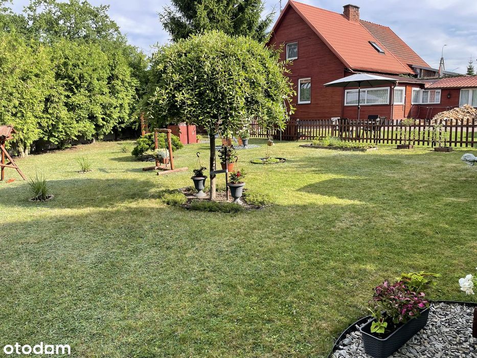 Drewniany dom ul M. Konopnickiej - 747 m2 działki!