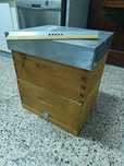 Colmeia abelhas - Langstroth hive