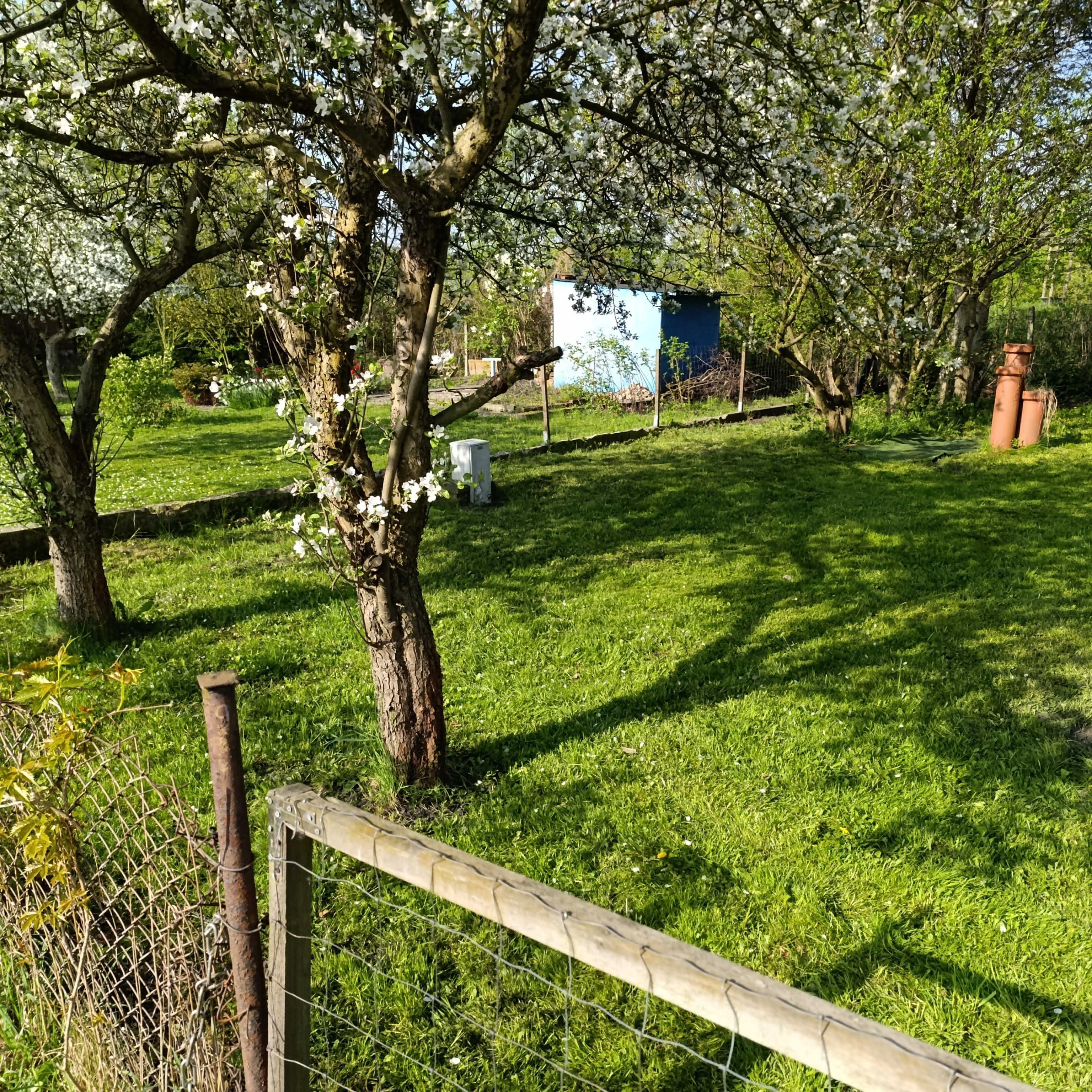 Ogródek Gliwice - ROD Silesia