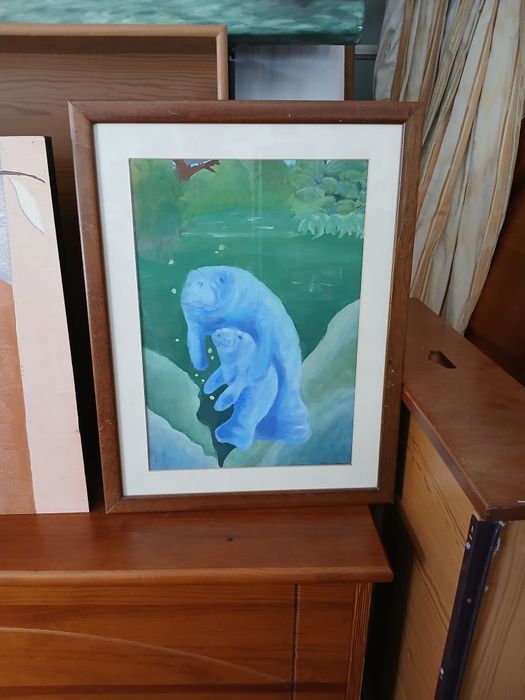 Vários quadros(uns pintados à mão)