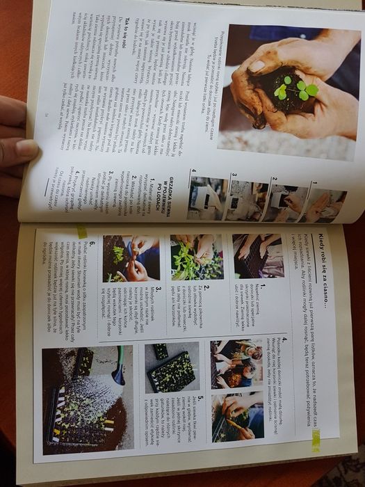 Filozofia wschodu dla Żółtodziobów - Jay Stevenson