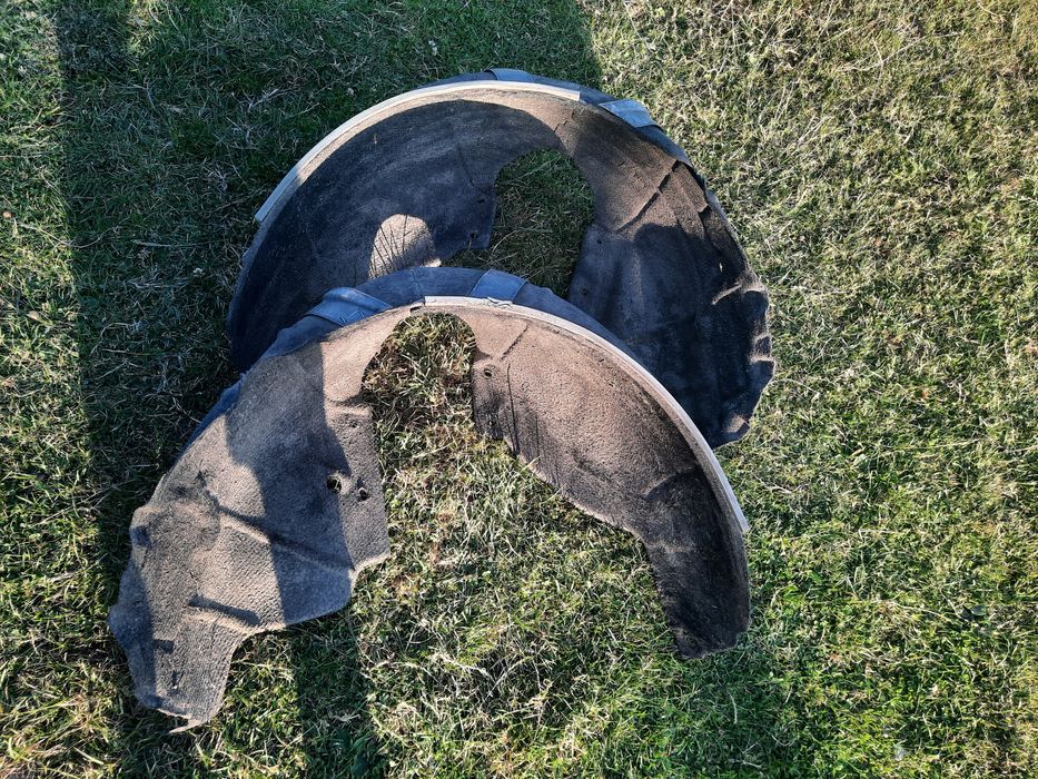 Підкрильники задні