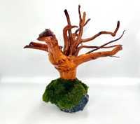 Piękna Aranżacja Do Akwarium Drzewko Bonsai