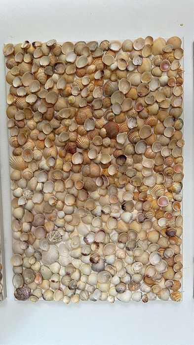 Telas de conchas .Faço sobre encomenda.