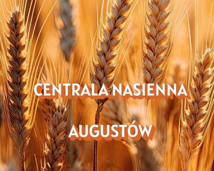 Karma dla królika chomika gryzoni