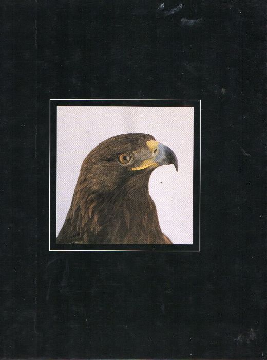 Livro Aves de rapina Testemunhos da vida selvagem