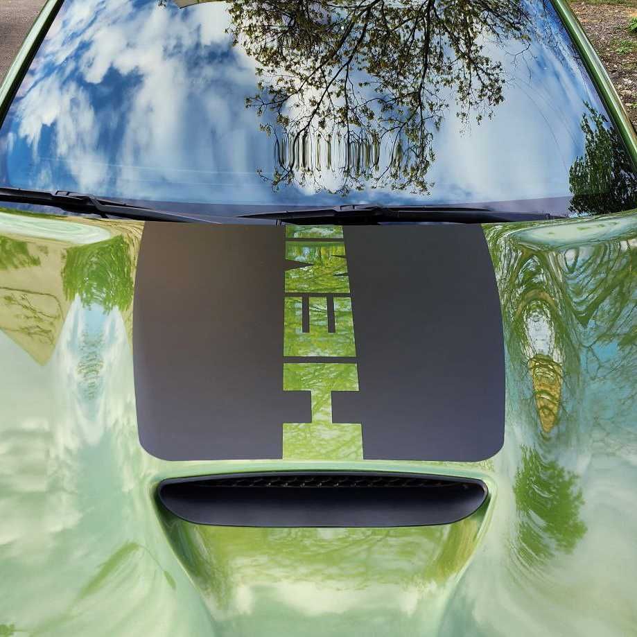 Комплект виниловых наклеек на Dodge Charger 2015-2023