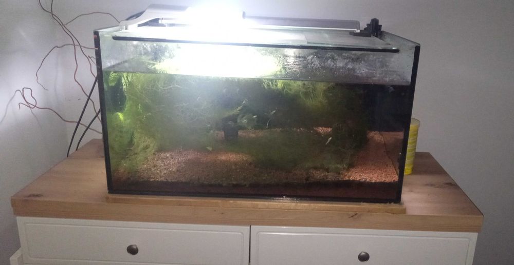 Akwarium 100 litrów na sprzedaż
