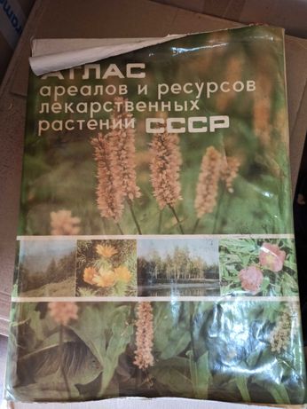 Атлас ареалов и ресурсов лекарственных растений  СССР