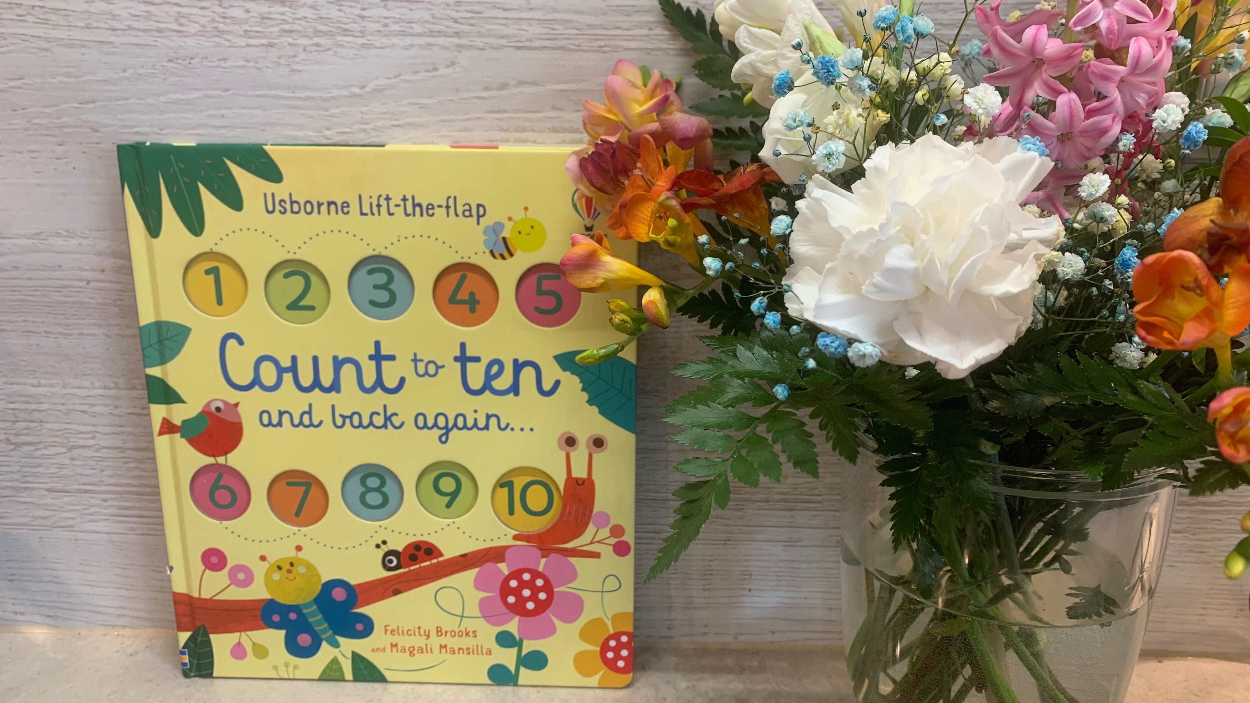 Usborne Count to Ten and Back Again lift the flap book