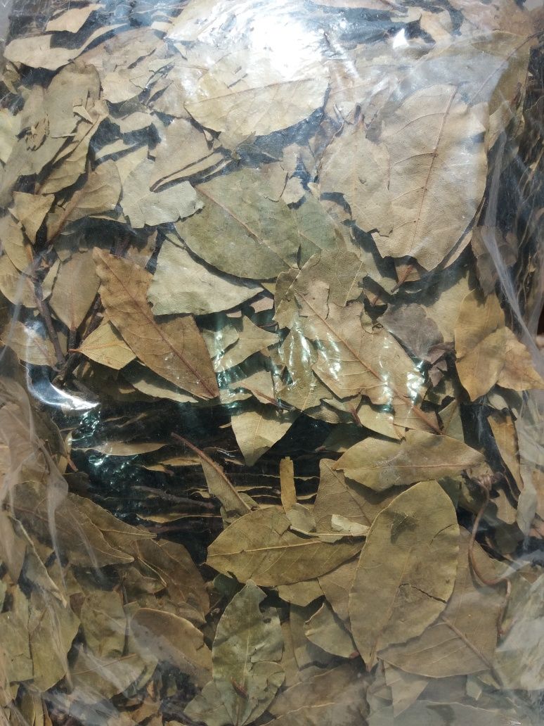 Лавровый лист Грузия лаврушка