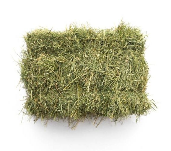 Sianko dla królików i gryzoni 2kg