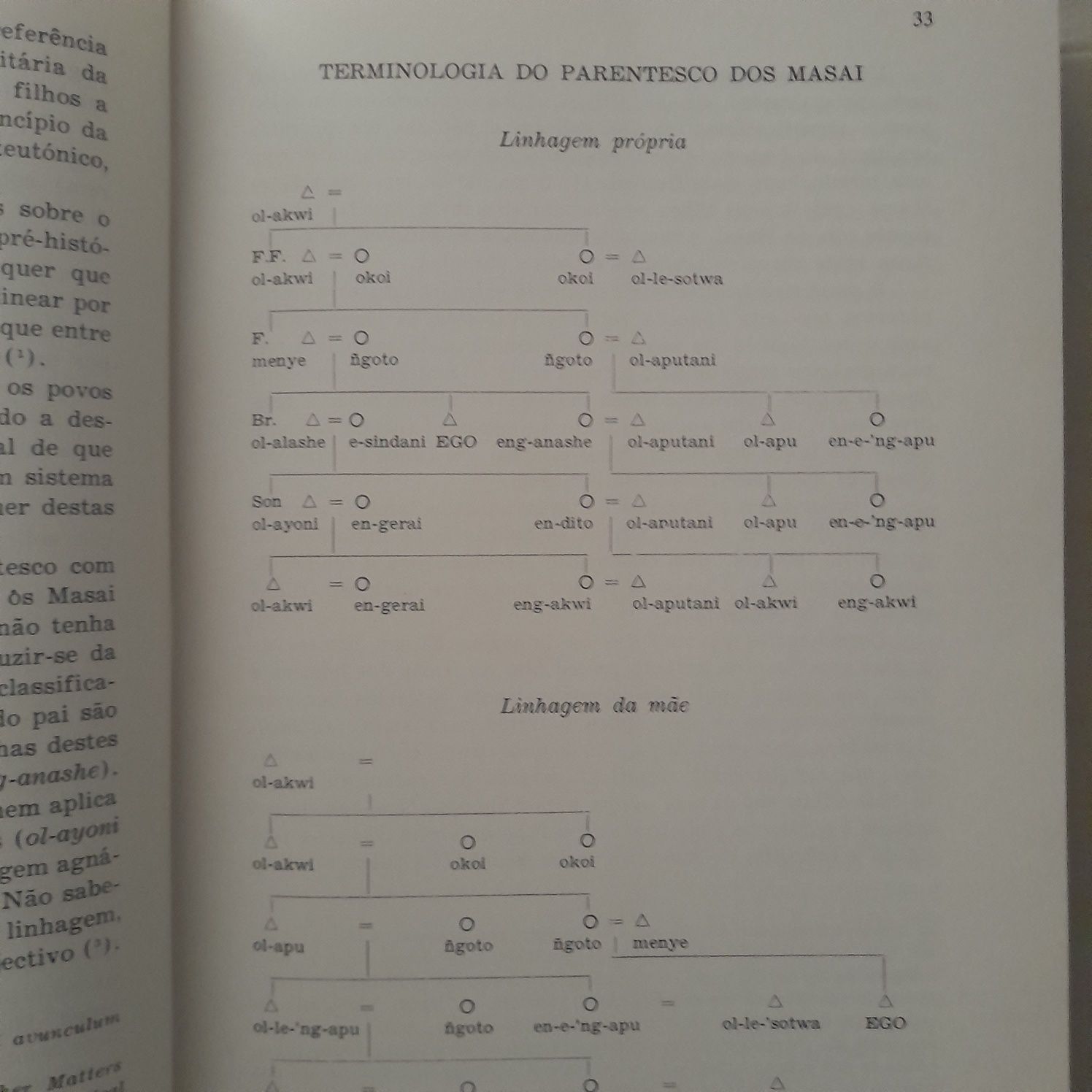 Sistemas Políticos Africanos de Parentesmo e Família.