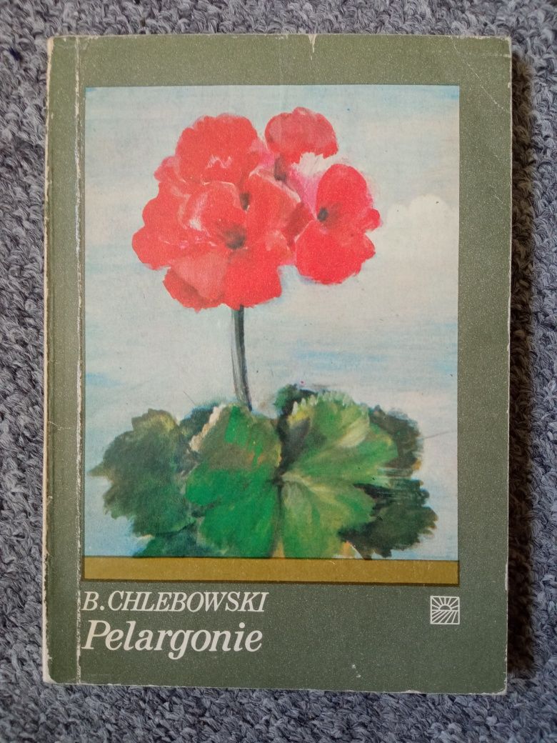 Pelargonie - Chlebowski