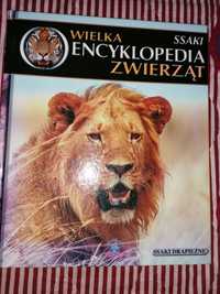 Książka - Wielka Encyklopedia zwierząt ssaki