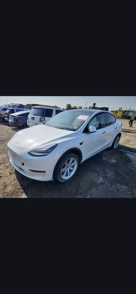 Tesla Model Y dual motor