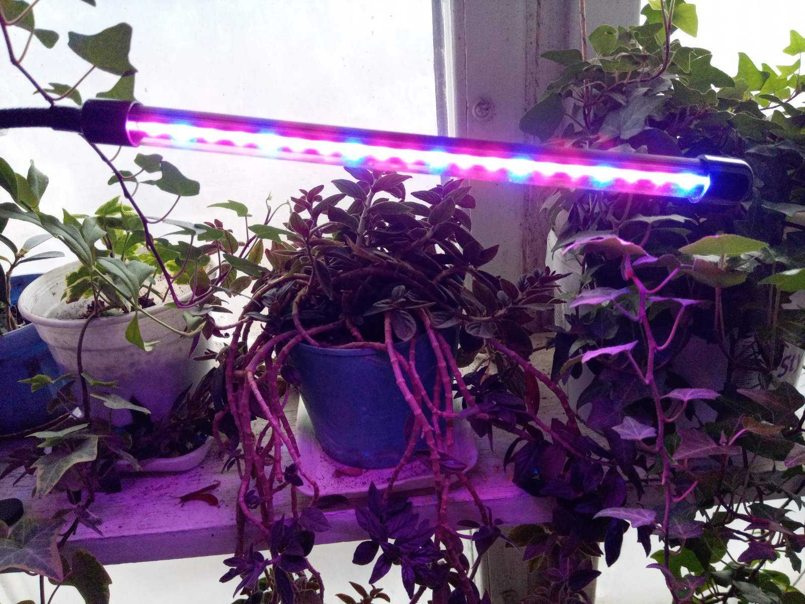 Фито лампа для растений на 2 светильника.